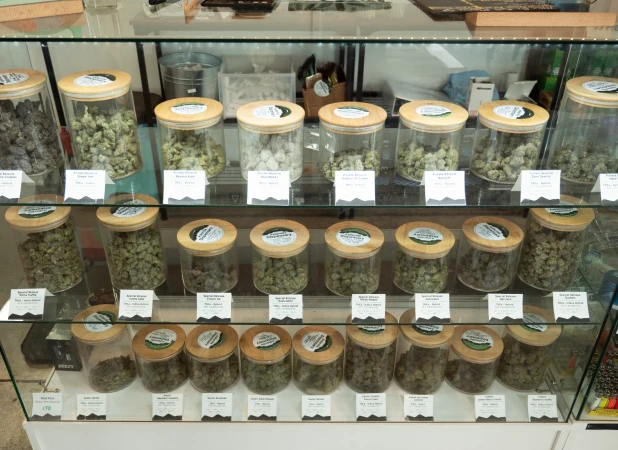 Buy Back Program Buy Back Program